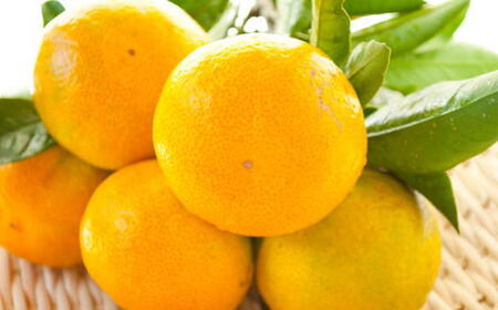 ［厳選］紀州有田の完熟極早生みかん約7.5kg(サイズ混合)★2026年10月下旬頃より順次発送