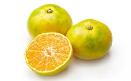 【ふるなびWEEK対象】【極早生みかんの逸品】有田産ゆら早生みかん約5kg★2025年10月中旬頃より順次発送 FN-Limited-PR