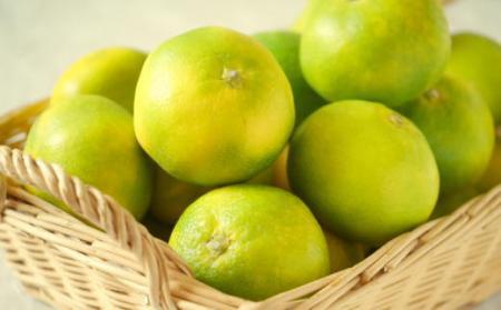 【ふるなびWEEK対象】【極早生みかんの逸品】有田産ゆら早生みかん約5kg★2025年10月中旬頃より順次発送 FN-Limited-PR