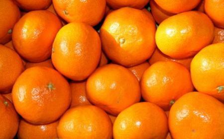 [秀品]和歌山有田みかん約6kg(3Lサイズ) ★2025年11月中旬頃より順次発送