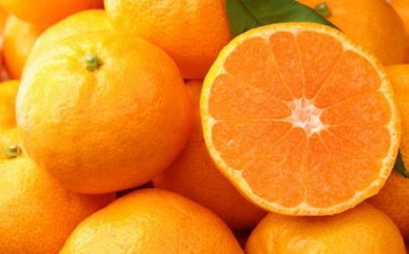 【食べごたえ十分】和歌山有田みかん大玉約9kg(3Lサイズ・秀品)★2025年11月中旬頃より順次発送