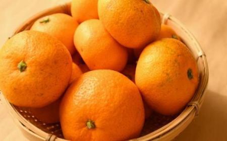 [訳あり]和歌山有田みかん約10kg(S～Lサイズいずれかお届け）★2025年11月中旬頃より順次発送［TM82w］