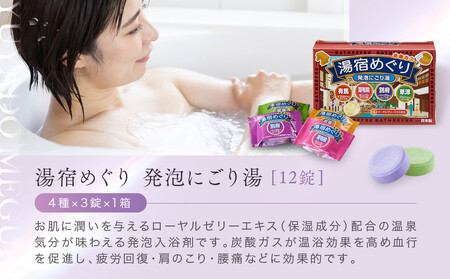 入浴剤 アソートセット 入浴剤 60日分 12種入り 有田川町