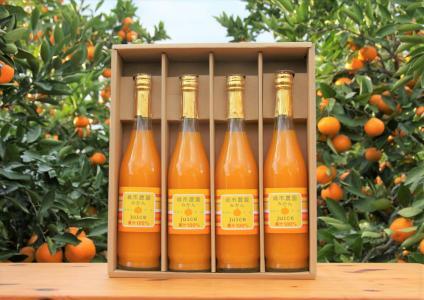100％ みかんジュース 500ml 合計4本 セット ストレート 無添加 嶋市農園 ｜ 和歌山有田 丸絞り 和歌山 有田 国産 果汁
