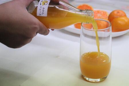 数量限定　果汁100％！ 搾りたての柑橘ジュース　180ml×５本