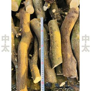 薪 キャンプ用 有田みかんの薪10kg(中太のみ)