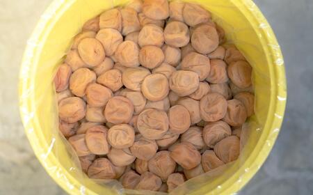 百福梅 うす塩味梅干 900g