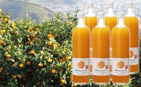 和歌山みかんジュース(750ml×6本入り)果汁100%無添加ストレート