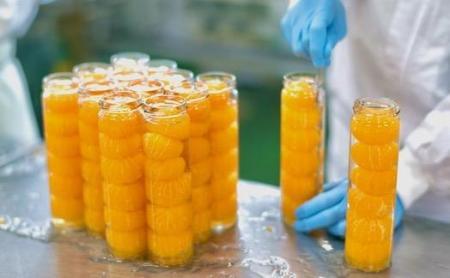 フルーツコンポート［FN4］