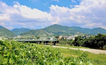 フルーツコンポート［FN4］