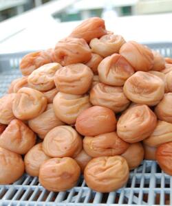 紀州南高梅 はちみつ漬け5Kg