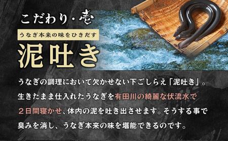 【 年内発送 受付中 】国産 うなぎ蒲焼 3本 セット 合計 約300g 数量限定