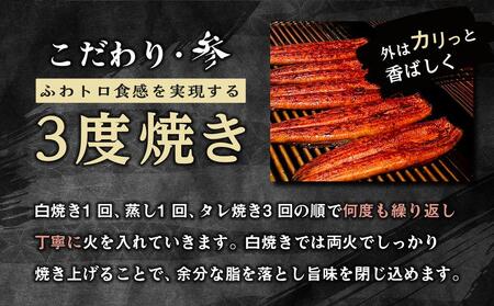 【 年内発送 受付中 】国産 うなぎ蒲焼 3本 セット 合計 約300g 数量限定