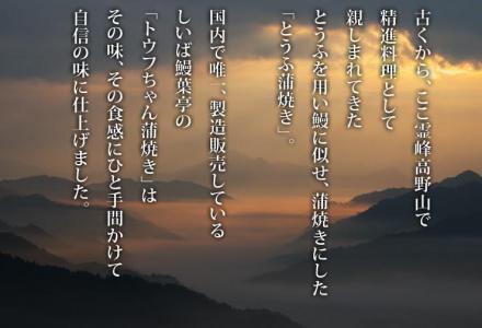 豆腐と海苔で作った美味くてヘルシートウフちゃん蒲焼 5本セット【鰻ではありません】