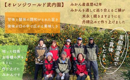 完熟 有田みかん 3kg みかん 甘味凝縮 小粒 産直44年 武内園 先行予約 和歌山県