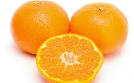 ［厳選・濃厚］紀州有田産のはるみ約4kg(サイズおまかせ) ★2026年1月下旬頃より順次発送［TM27w］