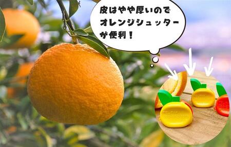 甘夏 玉ぞろい 箱込 5kg ( 内容量約 4.4kg ) 秀品 優品 混合 2L  L M サイズのいずれか 和歌山県 産地直送 ［皮むき器付き］ ［みかんの会］