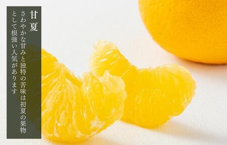 訳あり それでも 甘夏 箱込 2.5kg (内容量約 2.3kg)  サイズミックス 産地直送 家庭用 皮むき器付き［みかんの会］