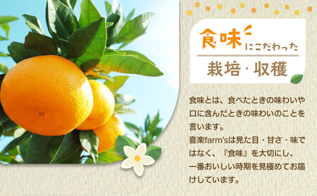 有田みかん 大玉サイズ 2L～4L サイズ混合 約10kg みかん 喜楽farms 【2025年12月以降順次発送】