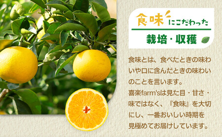 【産地直送】☆八朔☆サイズ混載(M~2L)☆9kg