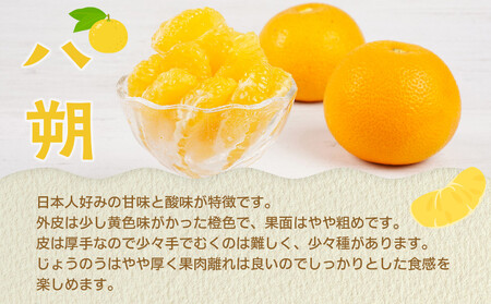 【産地直送】☆八朔☆サイズ混載(M~2L)☆9kg
