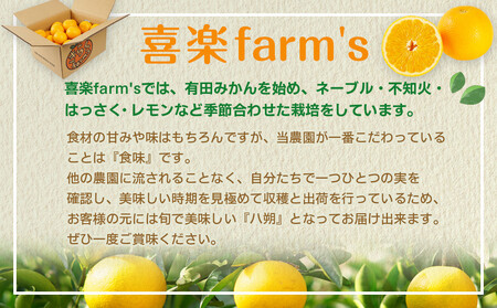 【産地直送】☆八朔☆サイズ混載(M~2L)☆9kg