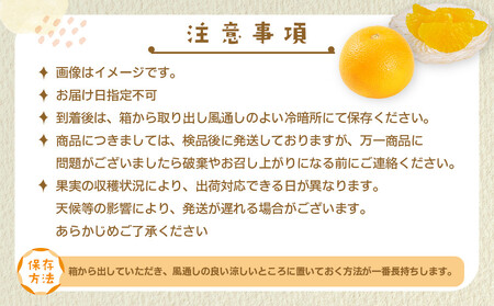 【産地直送】☆八朔☆サイズ混載(M~2L)☆9kg