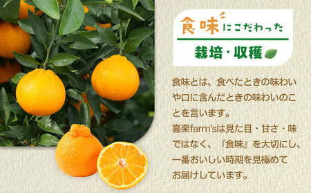 【産地直送】☆不知火☆家庭用☆約5kg