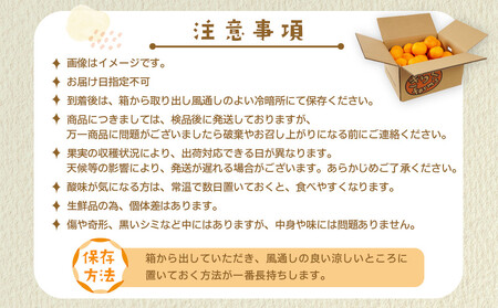 【産地直送】☆不知火☆家庭用☆約3kg