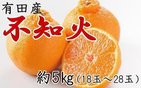 【濃厚】有田の不知火約5kg（18～28玉）★2025年2月上旬頃より順次発送