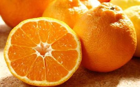 ［濃厚］有田の不知火約5kg（18～28玉）★2026年2月中旬頃より順次発送