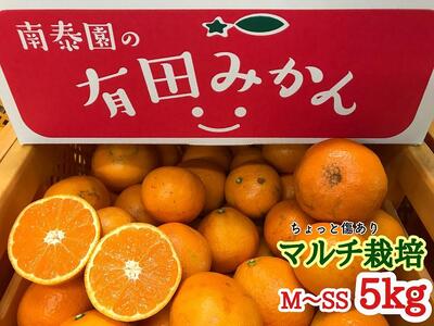 定期便 ちょっと 傷あり 5kg ×3 回 コース 有田みかん 食べくらべ 3種 全3回 南泰園