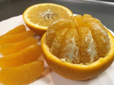 化粧箱 手詰め 有田 はっさく 特秀 M サイズ × 10玉入 南泰園 みかん