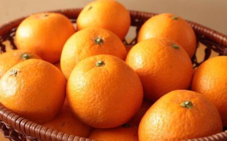 ［濃厚］有田産清見オレンジ約5kg（サイズおまかせ・青秀以上）★2026年2月下旬頃より順次発送［TM43w］