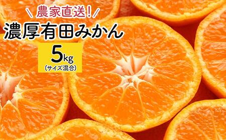 農家直送！濃厚有田みかん5kg(サイズ混合)　みかん・有田みかん・温州みかん・柑橘みかん・和歌山みかん