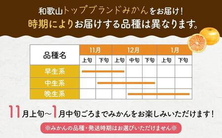 農家直送！濃厚有田みかん5kg(サイズ混合)　みかん・有田みかん・温州みかん・柑橘みかん・和歌山みかん