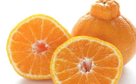 ［濃厚］有田産不知火約4kg（2L～5Lサイズ混合）★2026年2月中旬頃より順次発送