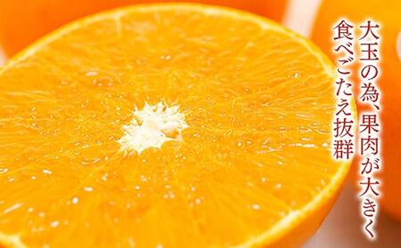 化粧箱 柑橘の大トロ ハウス せとか 厳選 大玉 7玉入