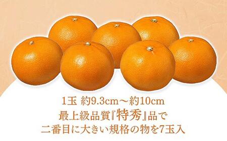 化粧箱 柑橘の大トロ ハウス せとか 厳選 大玉 7玉入