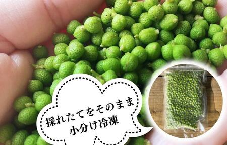 冷凍山椒 凍ってんじゃ ぶどう山椒 500g ( 100g × 5袋 ) 和歌山県産