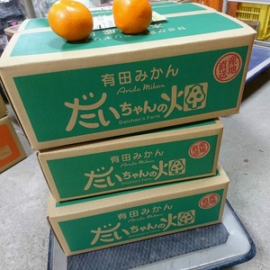 有田みかん  秀品 5kg　木成り完熟【贈答用】大ちゃんの畑農園
