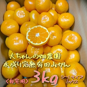 【ご家庭用】有田みかん  3kg （Ｓ～2Ｌサイズミックス）木成り完熟 大ちゃんの畑農園