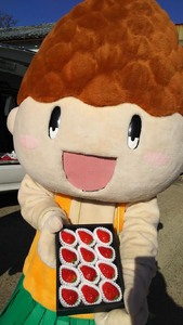 はないちご農園「まりひめデラックス」