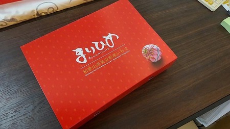 はないちご農園「まりひめ2パック」