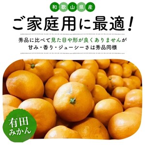 【先行予約】【数量限定】濃厚有田みかん(ご家庭用) 約2.6kg 【2024年11月上旬～11月下旬頃発送】または【2024年12月上旬～12月下旬頃発送】※北海道・沖縄・離島への配送不可