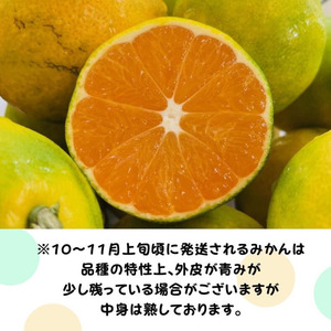 【先行予約】【数量限定】濃厚 有田みかん (ご家庭用) 5.2kg(5kg+200g(傷み補償分))｜ みかん