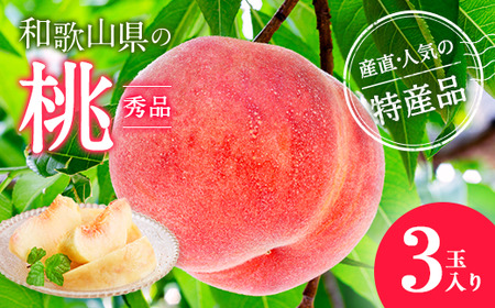 【産直・人気の特産品】和歌山の桃 3玉入り｜ 桃 桃 桃 桃 