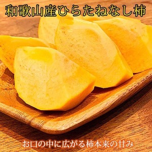 〈定期便〉【10・11・12月 全3回】和歌山産 みかんと柿のお楽しみ 定期便 【ご家庭用】【魚鶴】◇｜ﾌﾙｰﾂ