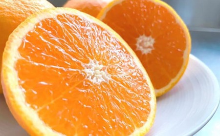 和歌山県産清見オレンジ約5kg(サイズ混合)