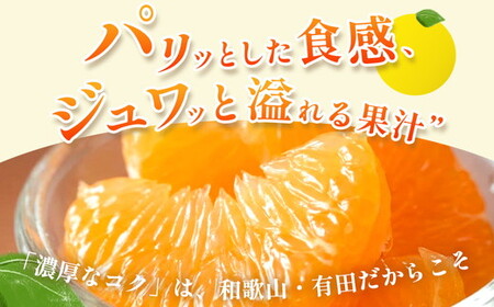 ＜1月より発送＞家庭用 はっさく7.5kg+250g（傷み補償分） ｜ 八朔みかん わけあり 訳あり ワケアリ ※2026年1月上旬～3月下旬頃に順次発送予定 ※北海道・沖縄・離島への配送不可 ◇